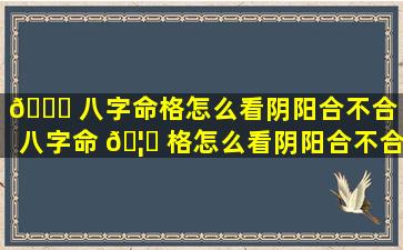 🐝 八字命格怎么看阴阳合不合（八字命 🦉 格怎么看阴阳合不合婚姻）